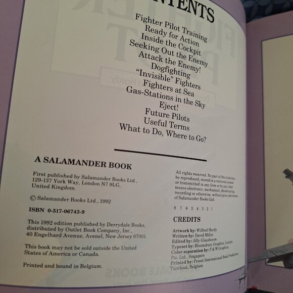 i can be a fighter pilot - Picture 4 of 7